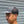 Load image into Gallery viewer, tempra cycle × velospica / The Cycling Cap - tempra online store