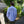 Load image into Gallery viewer, tempra garage オックスフォード ボタンダウンシャツ - tempra online store