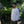 Load image into Gallery viewer, tempra garage スウェット - tempra online store