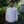 Load image into Gallery viewer, tempra garage スウェット - tempra online store