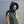 Load image into Gallery viewer, NANGA × TEMPRA HINOC DOWN MUFFLER (UNISEX) - tempra online store