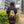 Load image into Gallery viewer, 「Osanpo Knapsack(オサンポ ナップサック)」 - tempra online store