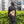 Load image into Gallery viewer, 「Osanpo Knapsack(オサンポ ナップサック)」 - tempra online store
