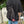 Load image into Gallery viewer, 「Osanpo Knapsack(オサンポ ナップサック)」 - tempra online store