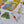 Load image into Gallery viewer, PAPERSKY WEAR / J&J HANKACHI-#W(ジェリー鵜飼) - tempra online store