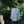 Load image into Gallery viewer, PAPERSKY WEAR / HIKE&BIKE CAVE OXFORD BIG SHIRT - tempra online store