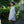 Load image into Gallery viewer, PAPERSKY WEAR / HIKE&BIKE CAVE OXFORD BIG SHIRT - tempra online store