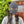 Load image into Gallery viewer, toiro knitwear × TEMPRA GARAGE / Editors FaceMask(エディターズ・マスク) - tempra online store