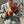 Load image into Gallery viewer, toiro knitwear × TEMPRA GARAGE / Editors ArmWarmer(エディ・アームウォーマー) - tempra online store