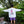 Load image into Gallery viewer, tpc 「VISOR GIRL/バイザーガール」ロングTシャツ - tempra online store