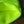 Load image into Gallery viewer, to tote(トゥートート) WR - tempra online store