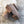 Load image into Gallery viewer, tempra / BABY ARMOR PAD (ORIVE/BLACK/BROWN) - tempra online store