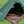 Load image into Gallery viewer, Jack Wolfskin / GOSSAMER - tempra online store