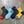 Load image into Gallery viewer, TRAIL MAGIC / HIKER TRASH - tempra online store