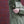 Load image into Gallery viewer, Jack Wolfskin / ELSBERG 2.5L JKT(オリジナル防水透湿) - tempra online store