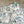 Load image into Gallery viewer, Jack Wolfskin / JP PRAGMATIC A AOP SHORT - tempra online store