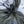 Load image into Gallery viewer, Q3(キュースリー) - tempra online store