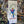 Load image into Gallery viewer, カラビンカ 手拭い/Kalavinka NJS Towel - tempra online store