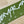 Load image into Gallery viewer, tempra whizzing Logo ステッカー - tempra online store
