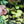Load image into Gallery viewer, SOLAIZ サングラス（度付きレンズ対応/偏光レンズ搭載）SLF-1001 OUTDOOR - tempra online store
