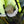 Load image into Gallery viewer, Osanpo Knapsack 2 / オサンポナップサック 2 - tempra online store
